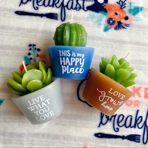 🌵 Cactus Succulent Decorative Candles 🌵 - Picture 7 of 7